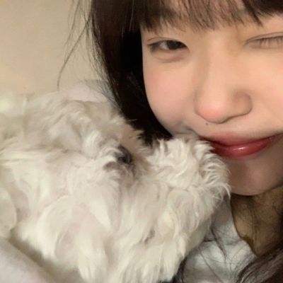 热血果盘变态版下载